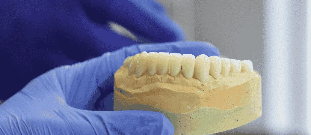 Choosing the Graft That Fits Your Jaw and Implant Plan